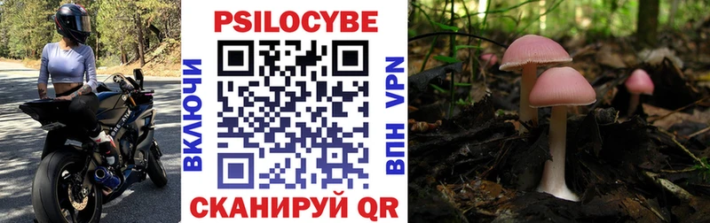 Галлюциногенные грибы мицелий  закладки  Брянск 